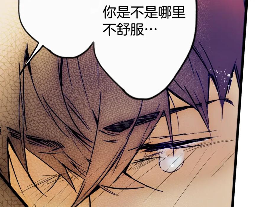 第194页