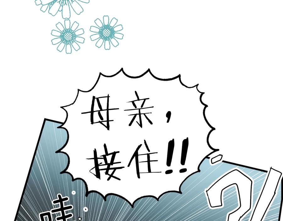 第223页