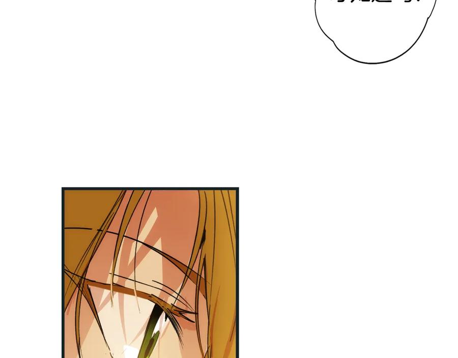 第238页