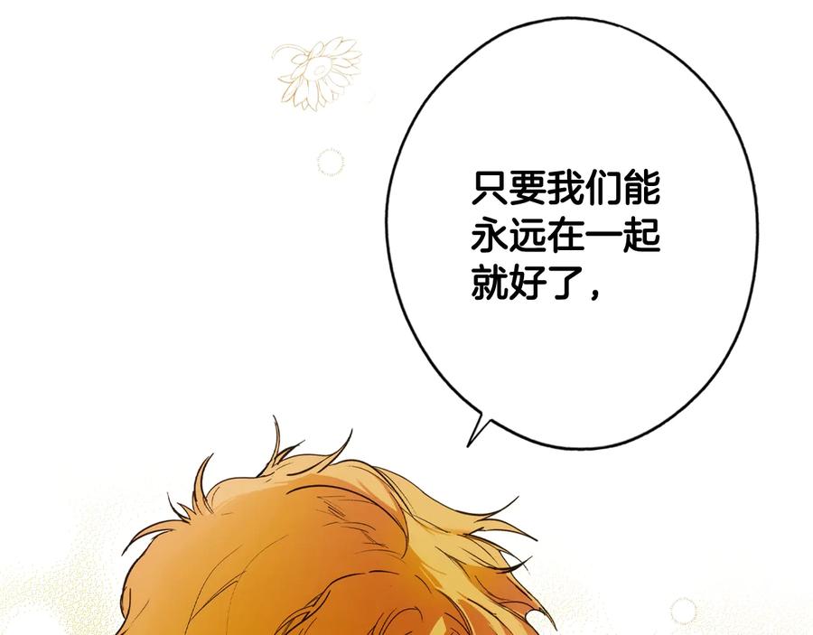 第244页