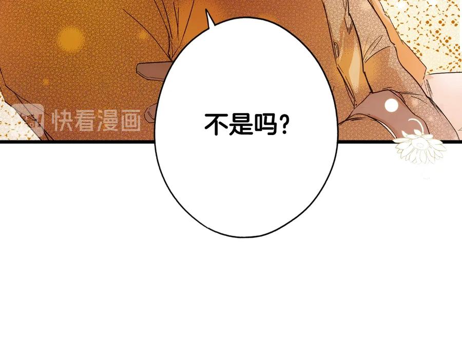 第246页