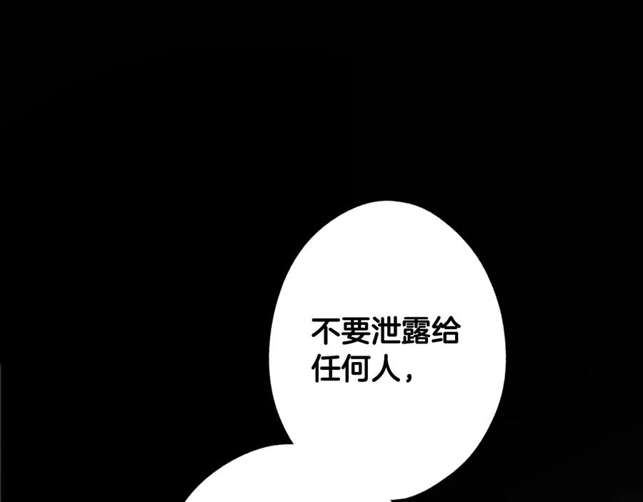 第247页