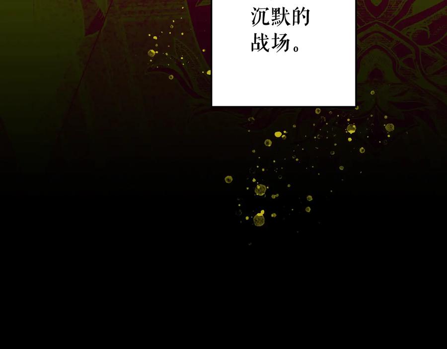 第223页