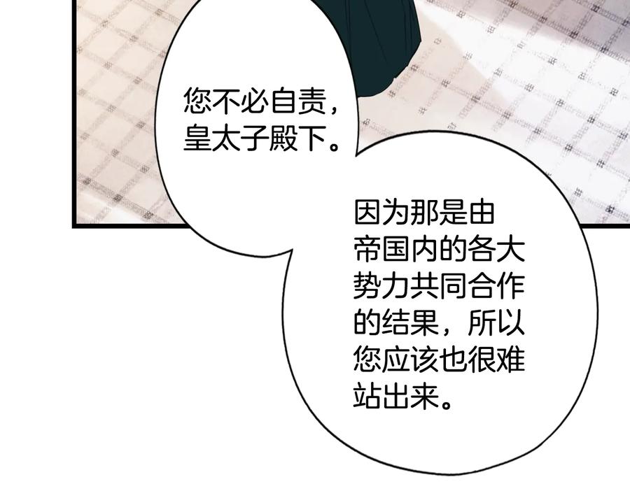 第243页