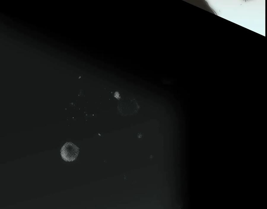 第189页