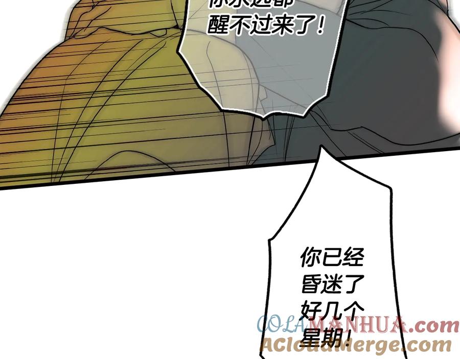 第224页