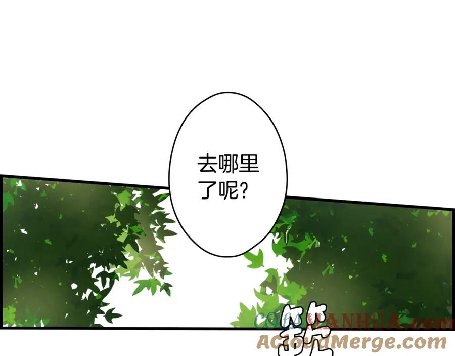 第185页