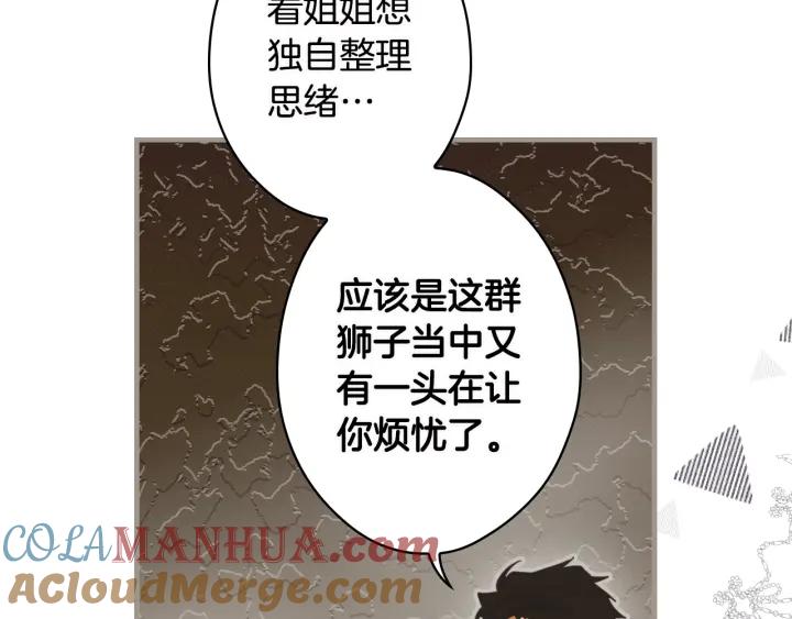 第205页