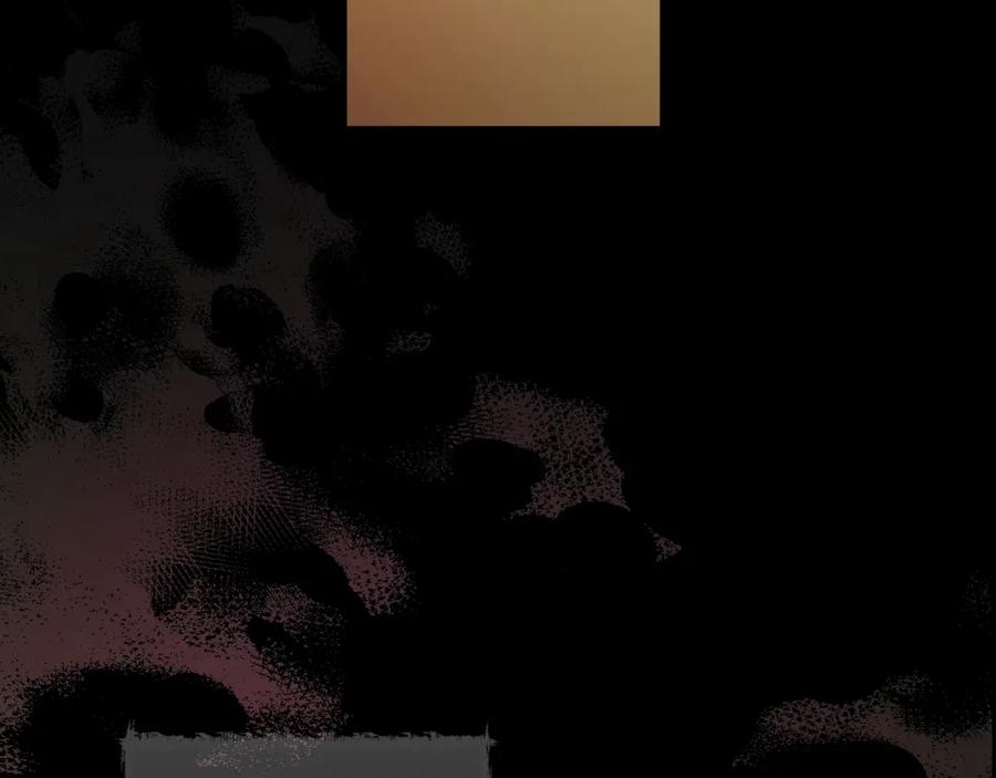 第224页
