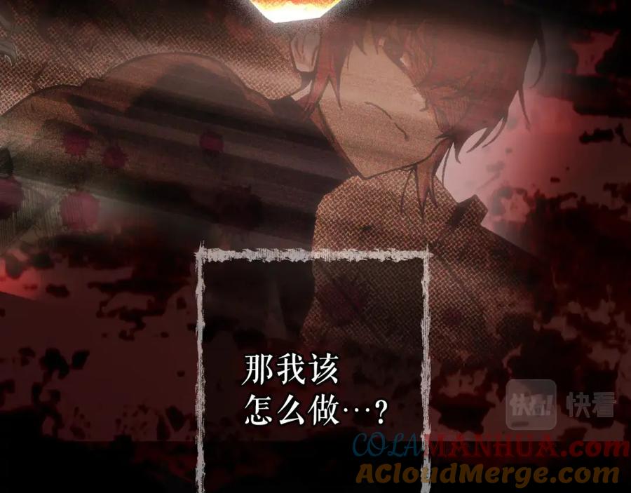 第233页