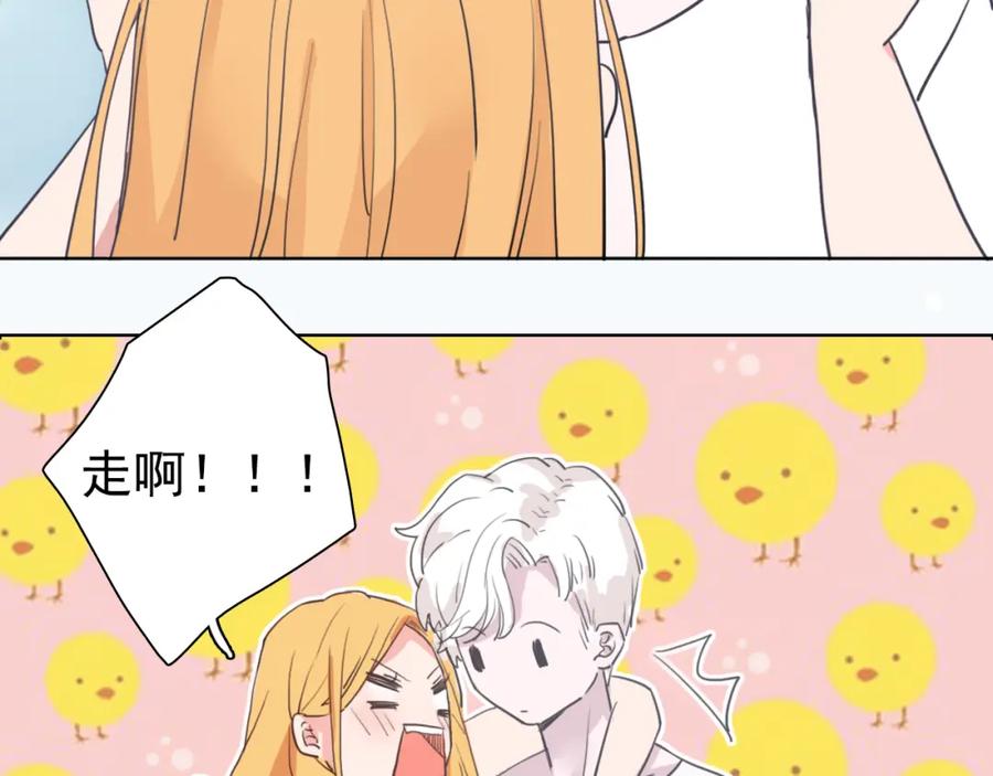 第204页