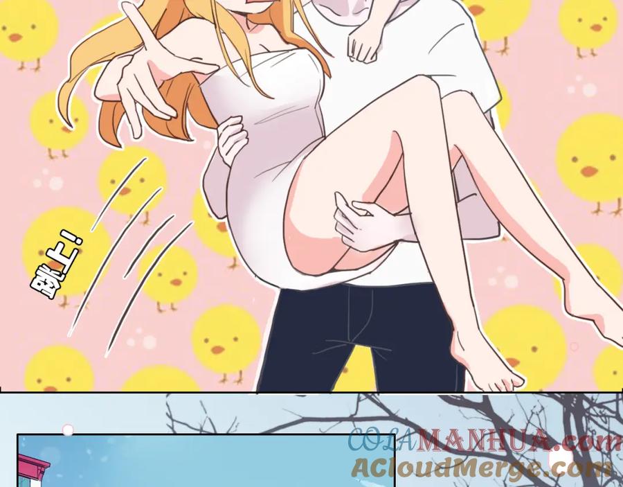 第205页