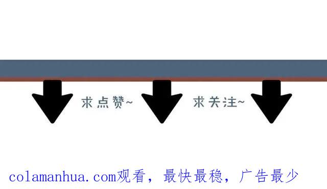 第204页