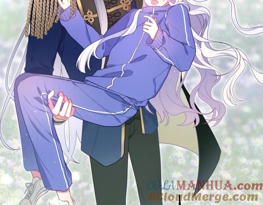 第185页