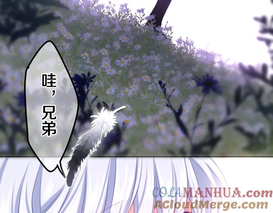 第193页