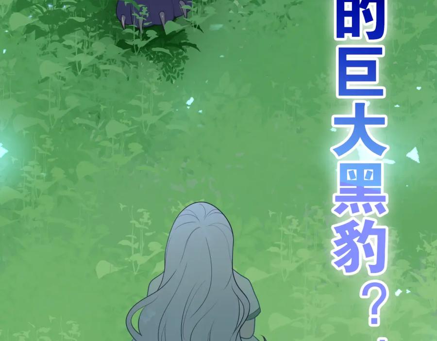 第214页
