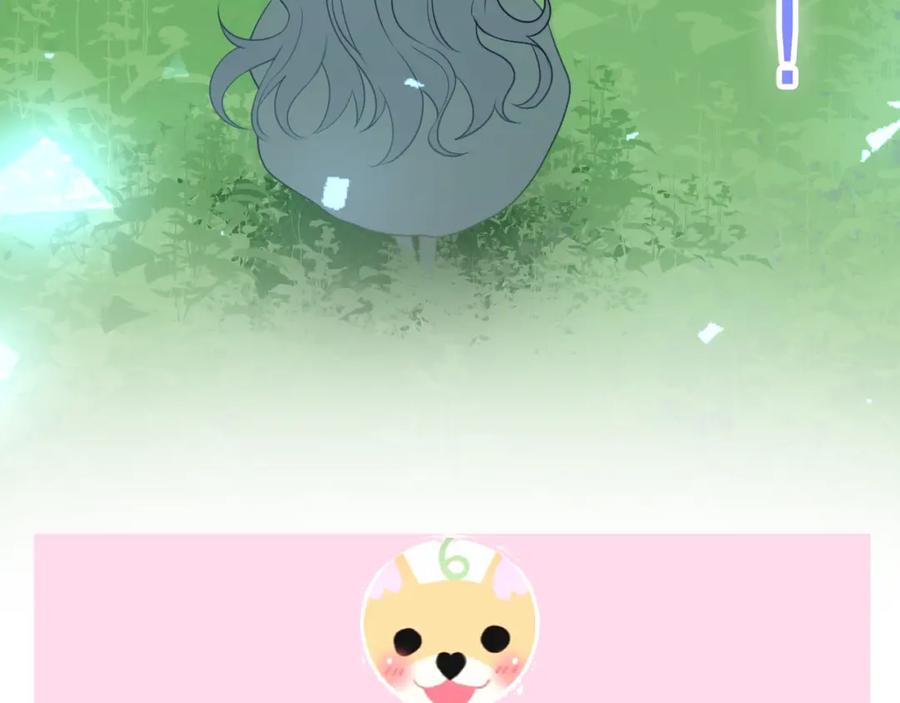 第215页
