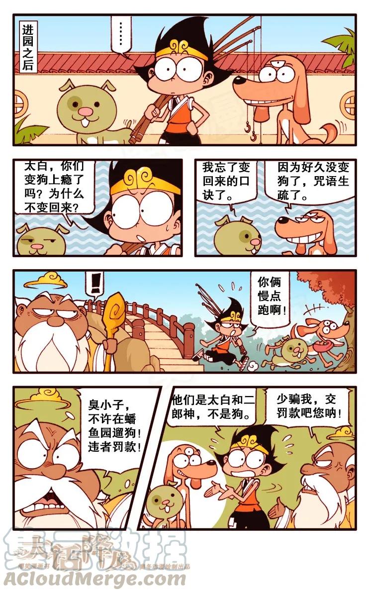 第5页