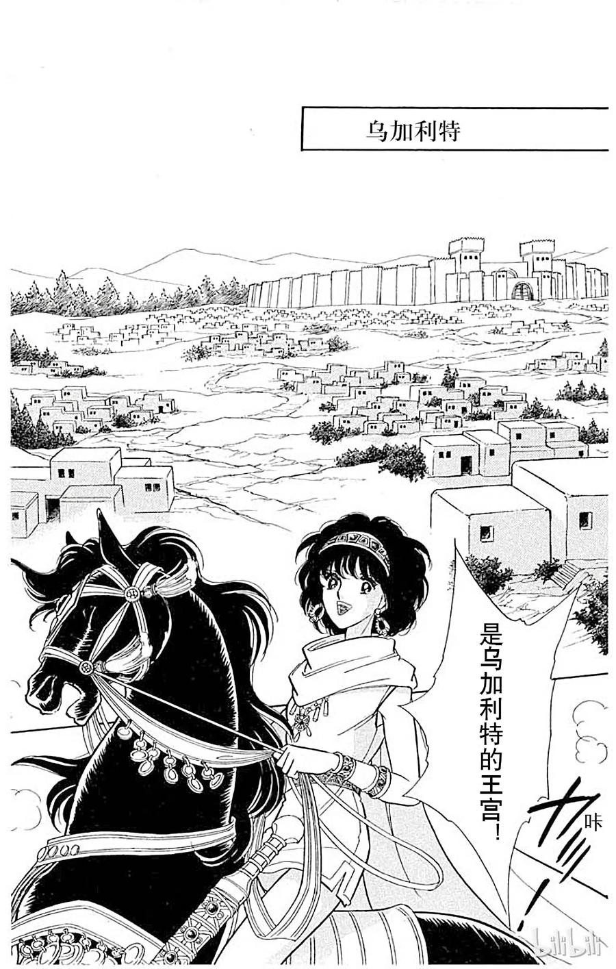 第224页