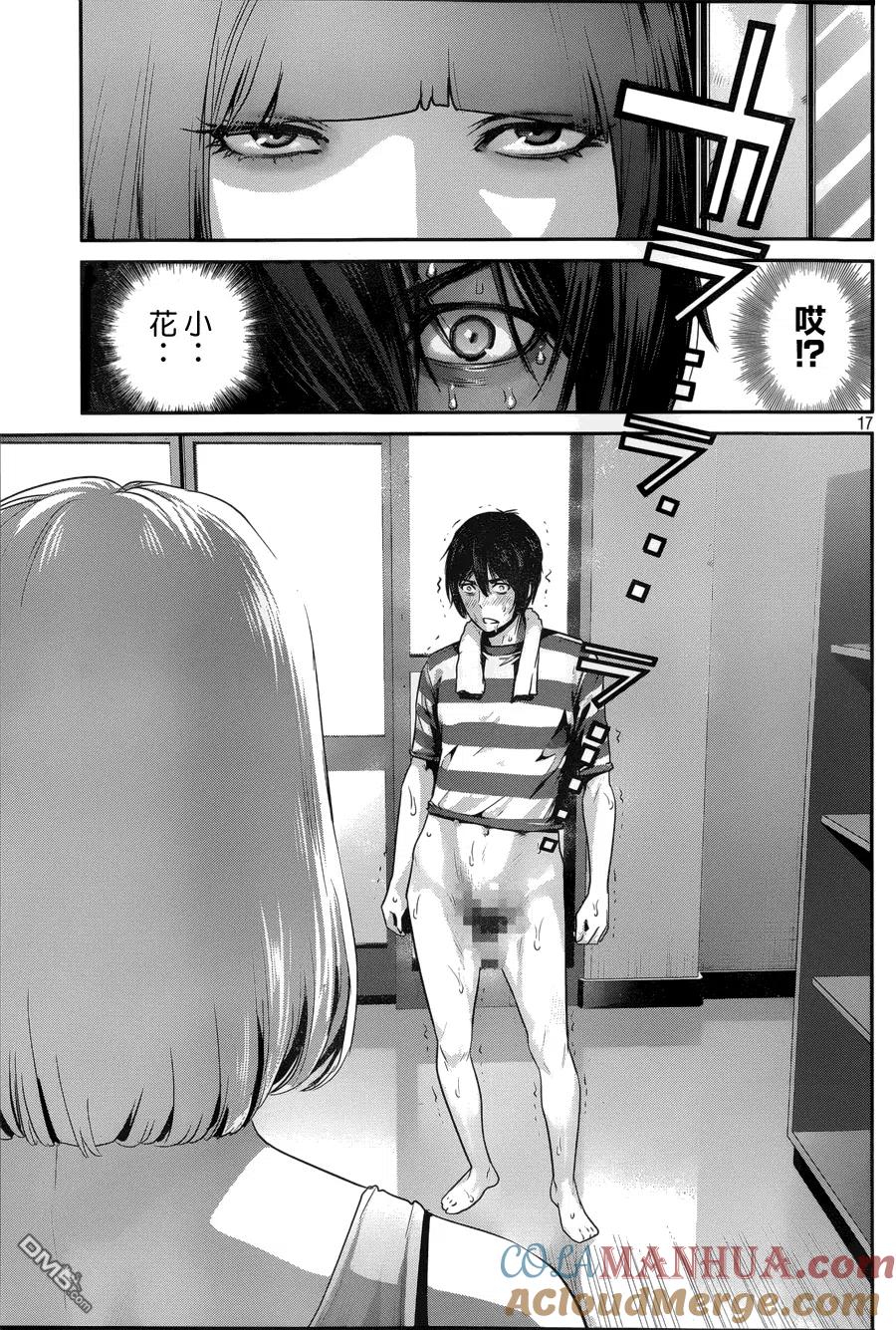 第17页