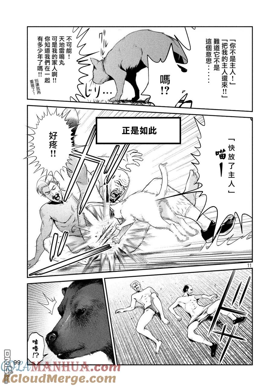第11页