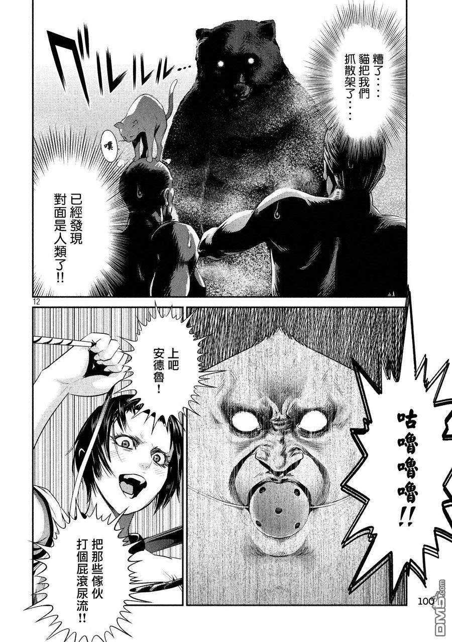 第12页