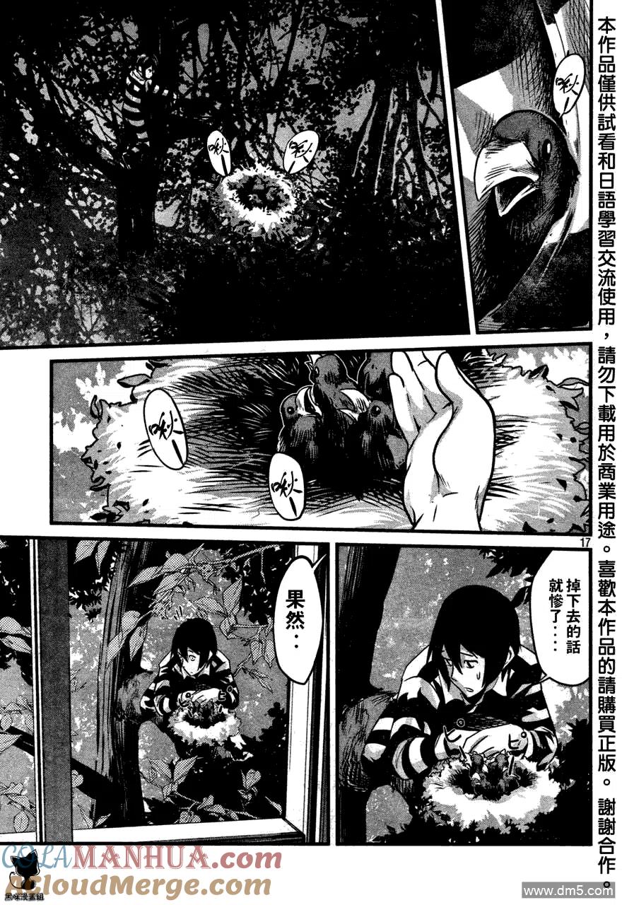 第17页