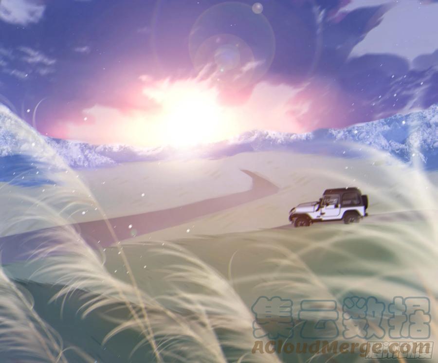 第61页