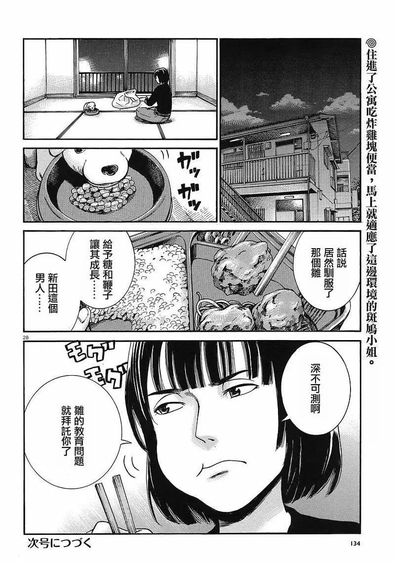 第28页