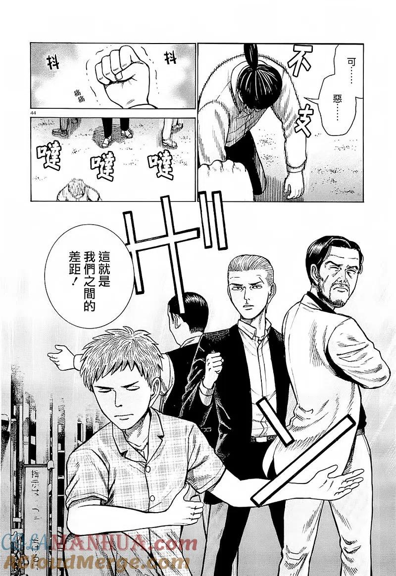 第43页