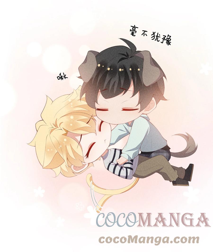 第64页