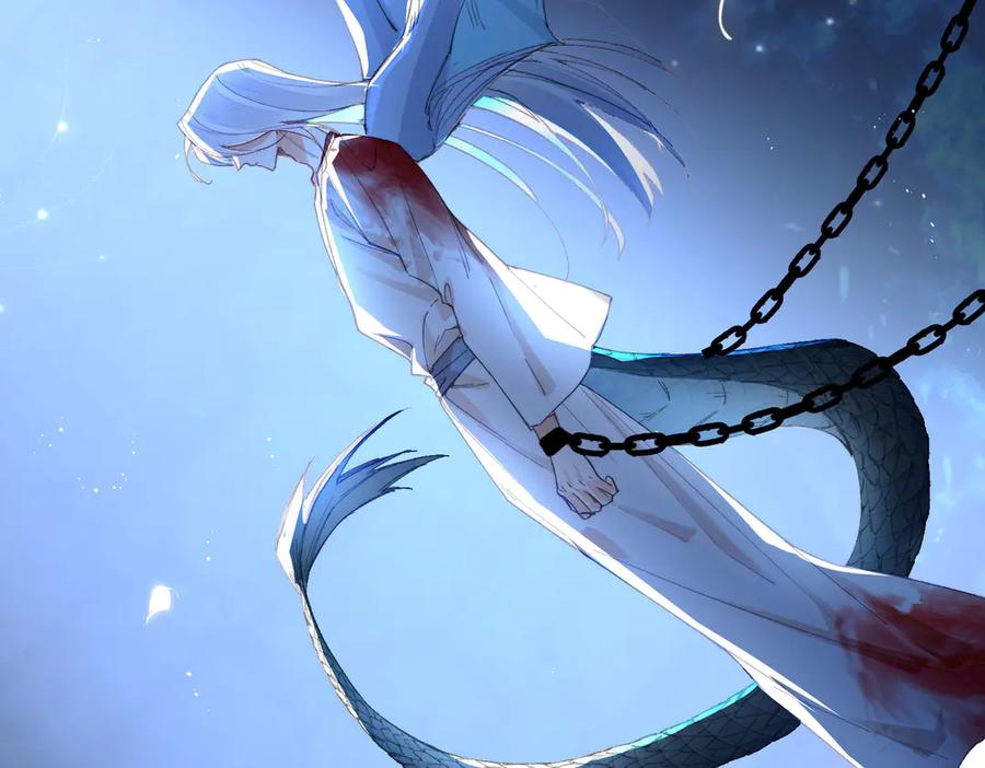 第207页