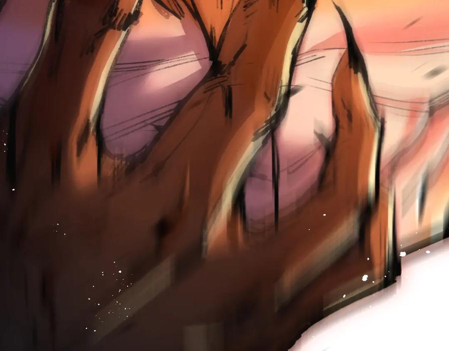第214页