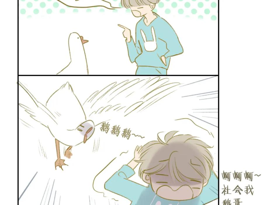 第118页