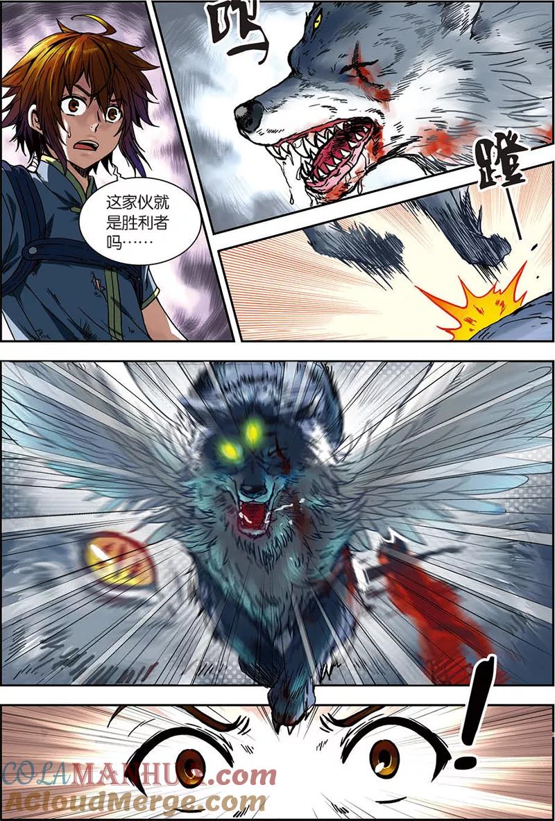 第5页