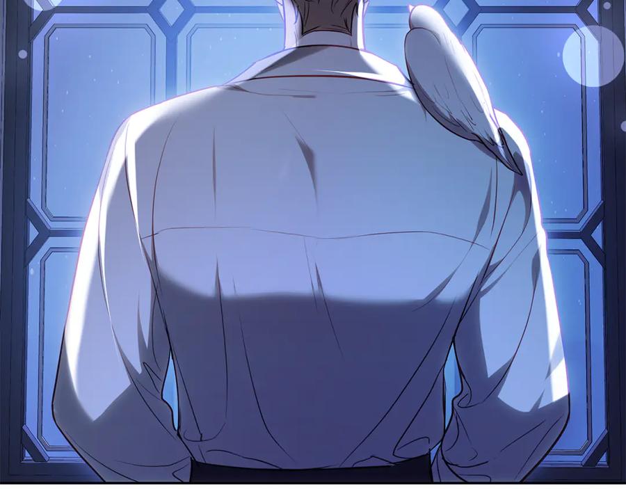 第294页