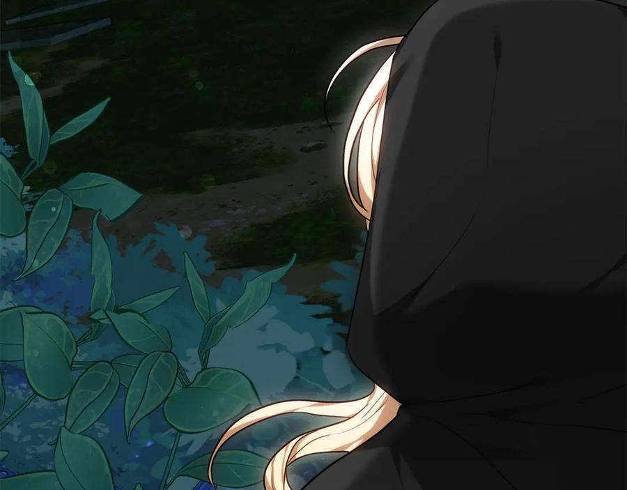 第278页