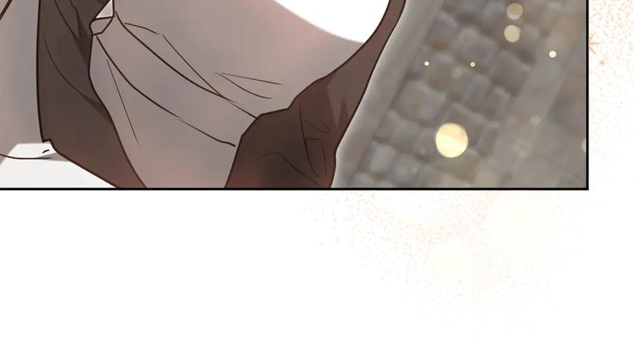 第224页