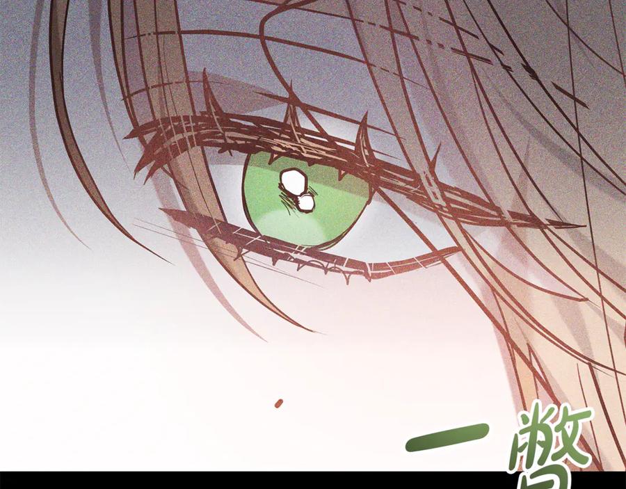 第239页
