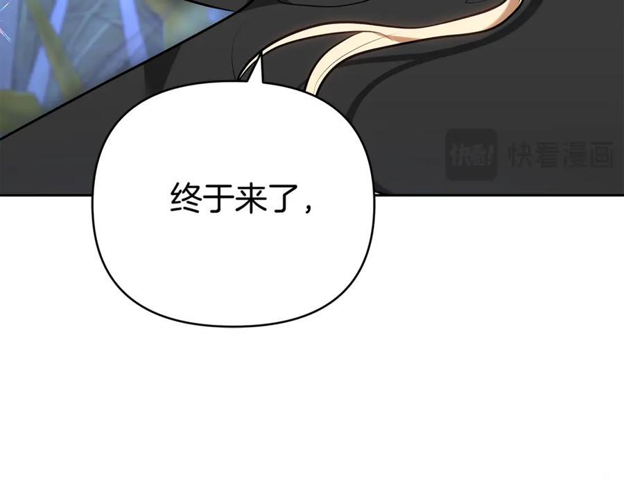 第243页