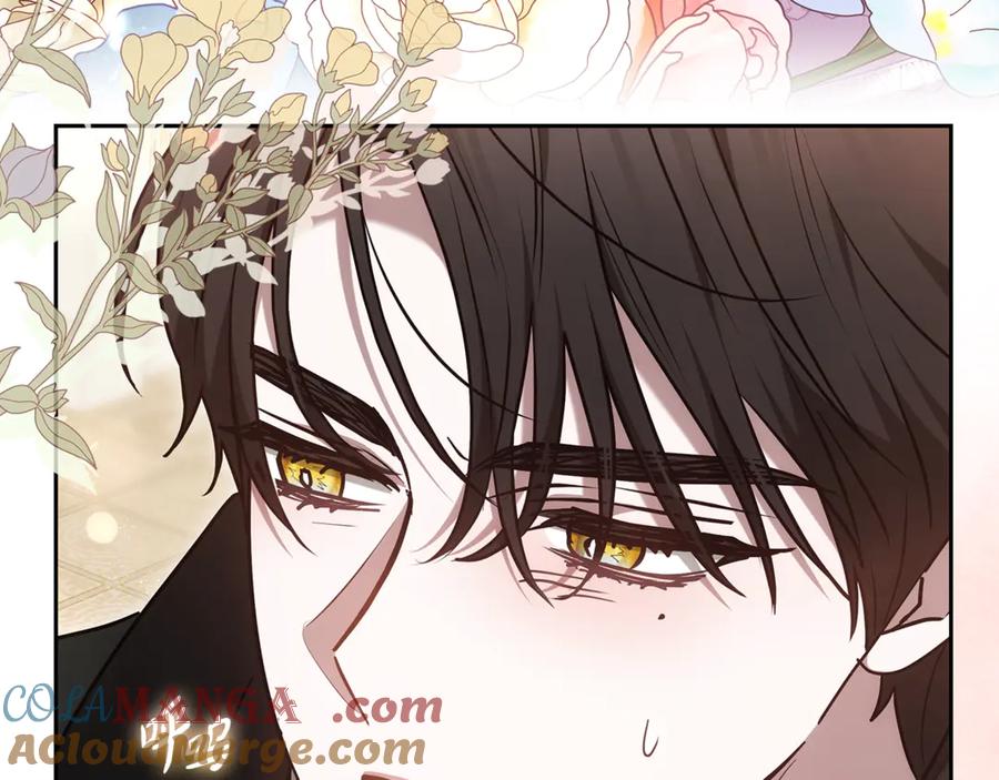 第221页