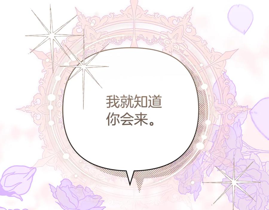 第223页