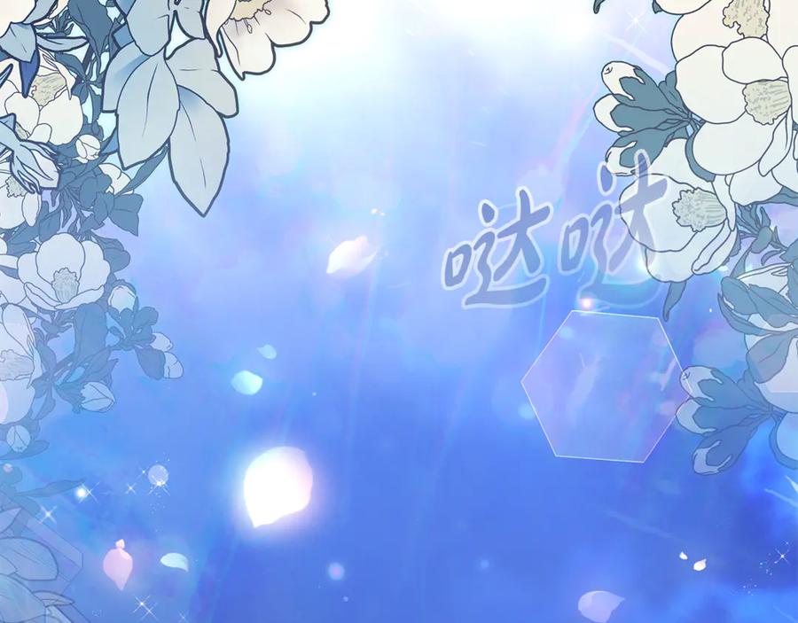 第223页
