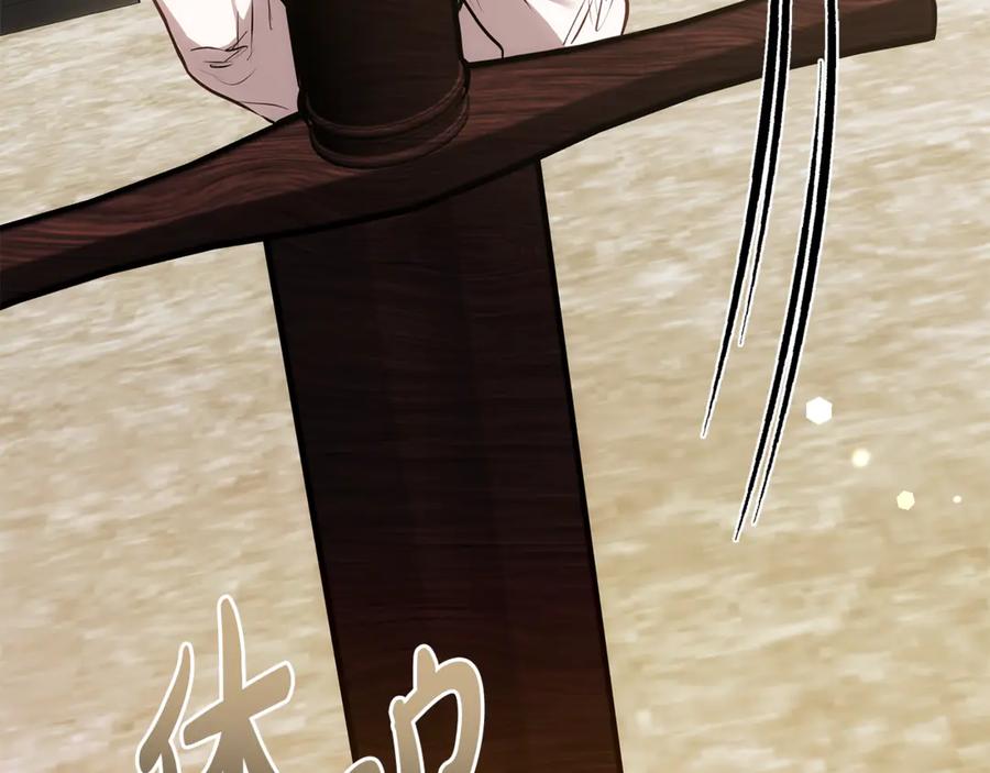 第231页