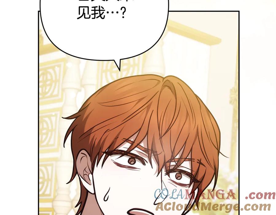 第233页