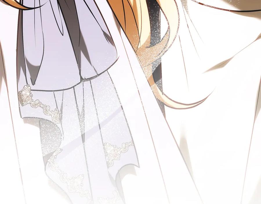 第238页