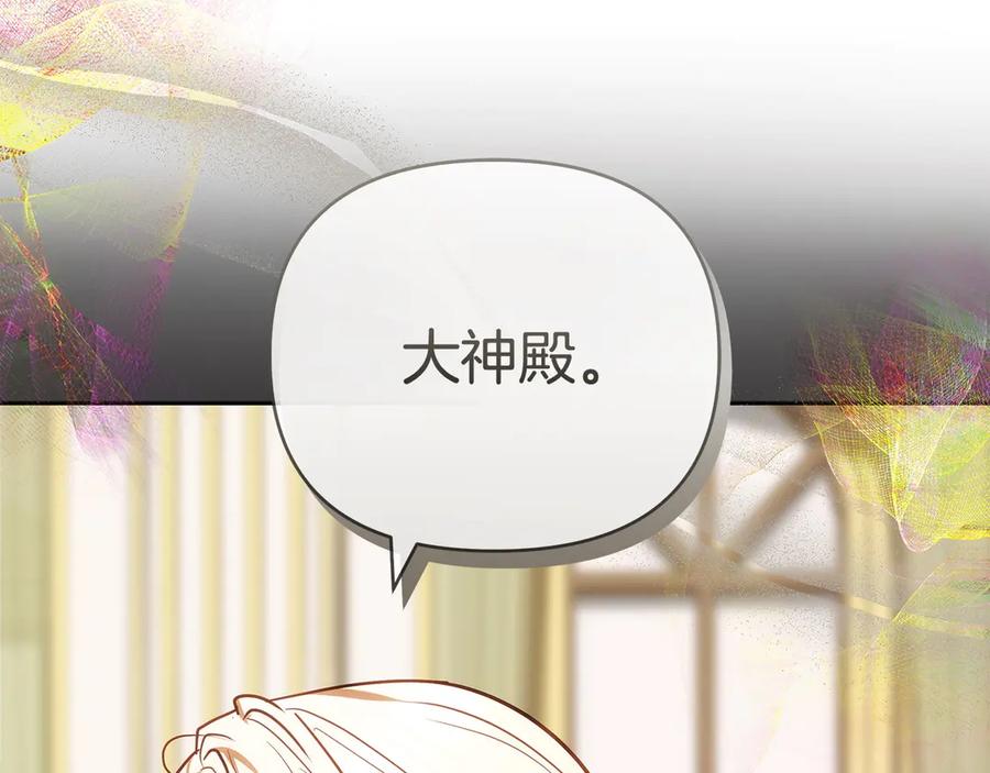 第223页