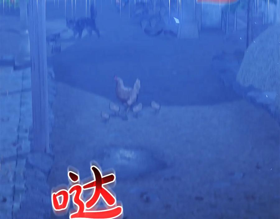 第203页