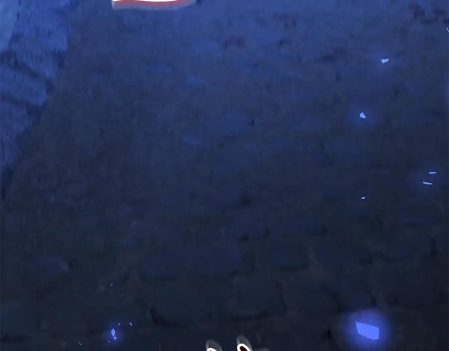 第204页
