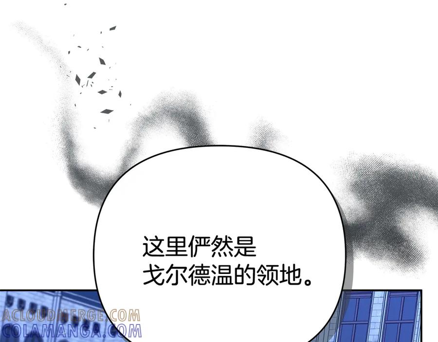 第217页